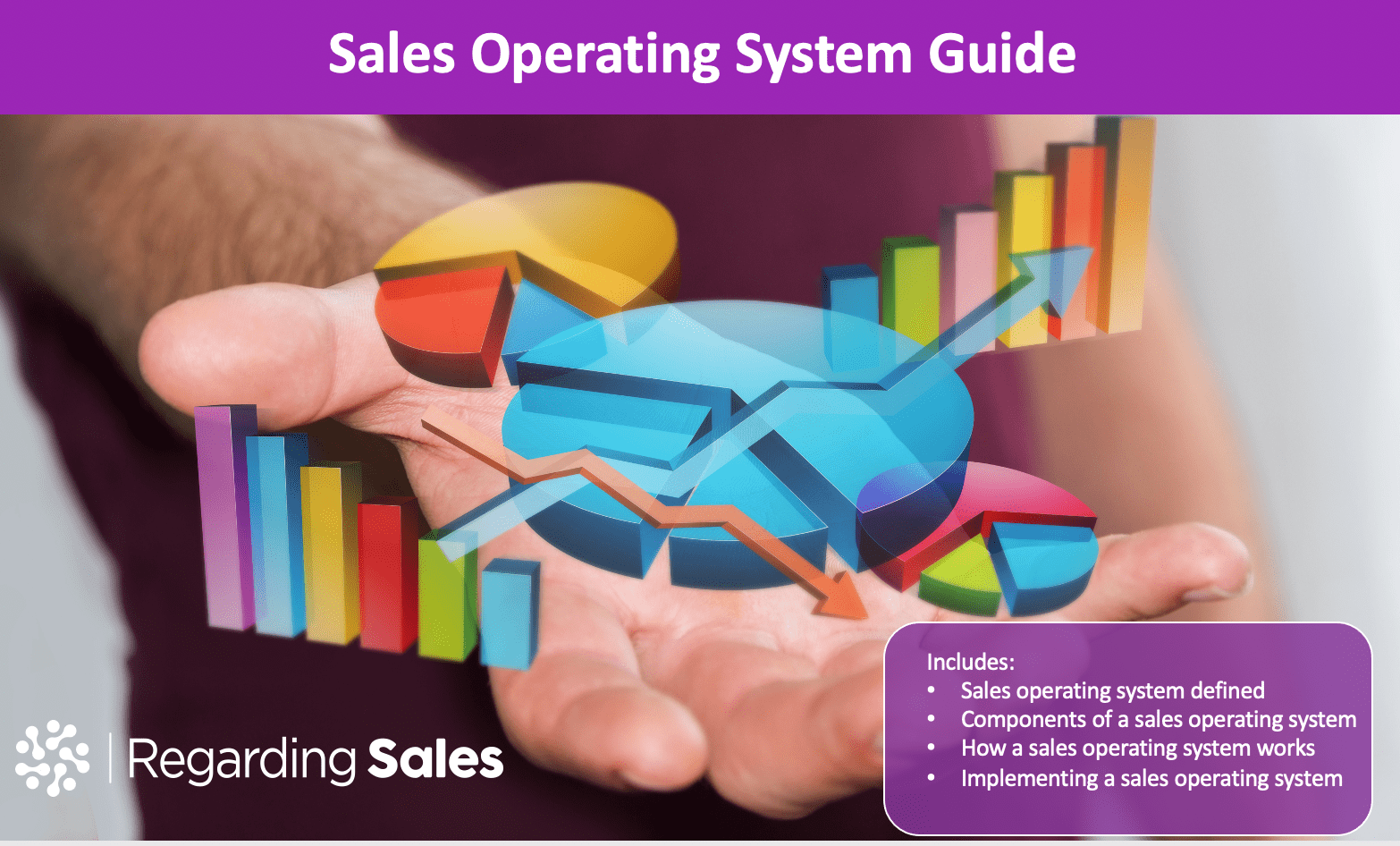 Sales Operating System Image